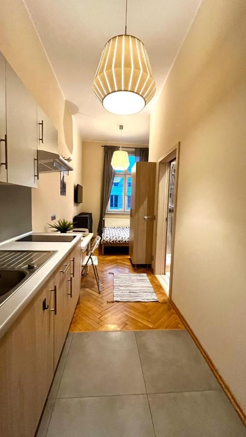 Homely Studio Cracovie Extérieur photo